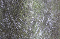 Beamhurst Lane fibreglass roof work